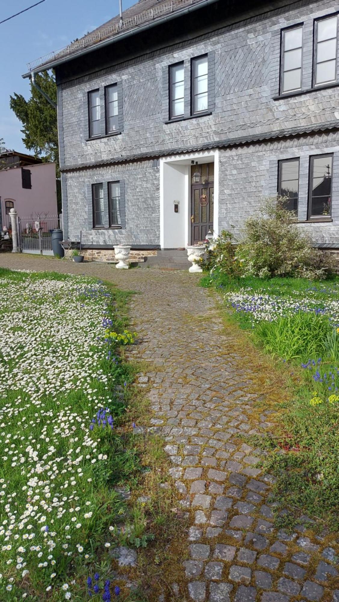 Zum Alten Pfarrhaus Damscheid Kültér fotó